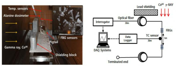 FBG 센서 내방사선 시험평가 구성도