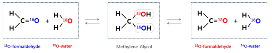폼알데하이드와 물의 산소 동위원소 교환반응