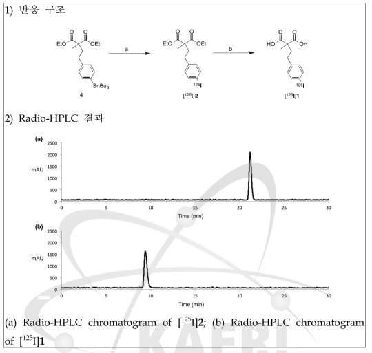 Methyl malonic acid 유도체의 방사성요오드 표지 데이터 구축