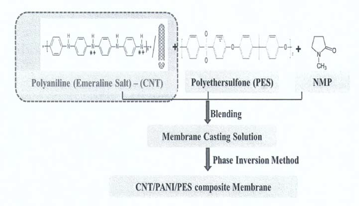 상반전에 의한 CNT ultrafiltration membrane