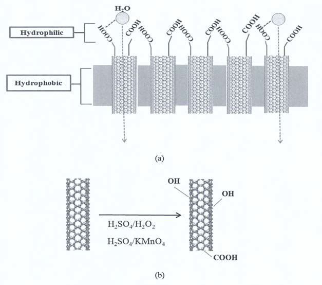 (a) VACNT membrane에서 CNT tip의 functionalization과 (b) Acid와 oxidative gas를 이용한 CNT의 oxidation process