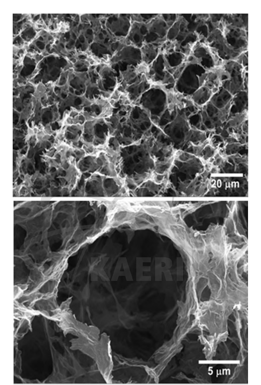 습식환원반응을 이용해 제조된 3차원 그래핀 나노구조체의 주사전자현미경 사진