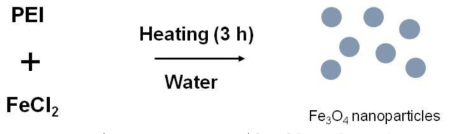 다기능성 고분자(PEI, polyehtyleneimine)을 이용한 산화철 나노입자 제조공 정 개략도