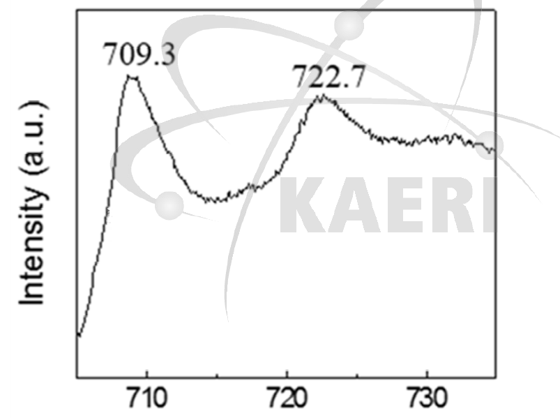 제조된 철산화물 나노입자에 대한 X-ray photoelectron spectroscopy (XPS) 분석 결과