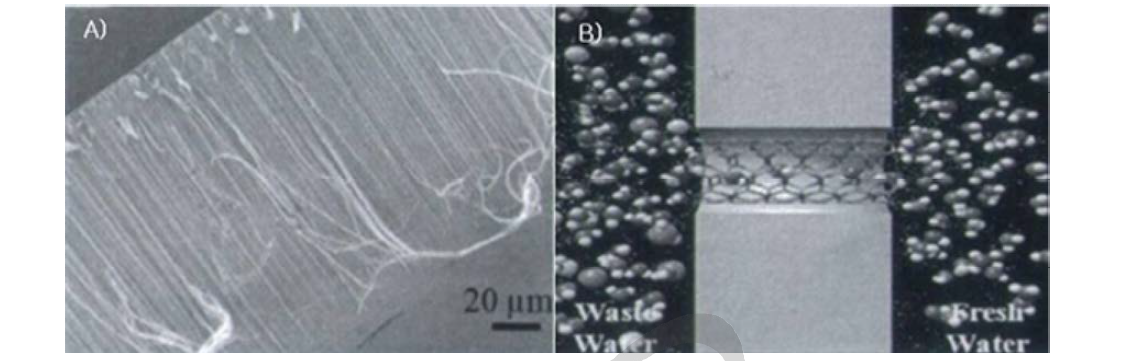 a) pristine CNT membrane의 cross-sectional SEM image; b) CNT channel을 통한 water molecule의 움직임