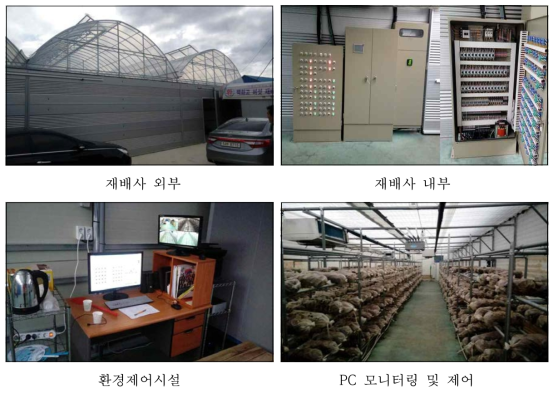 농업회사법인 마이 재배시설