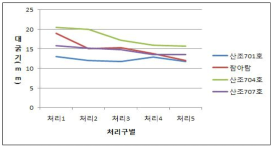 온도처리에 따른 대굵기 변화조사