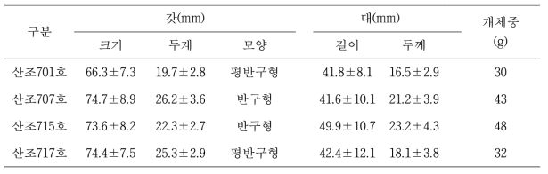 시험품종 자실체 형태적 특성 조사