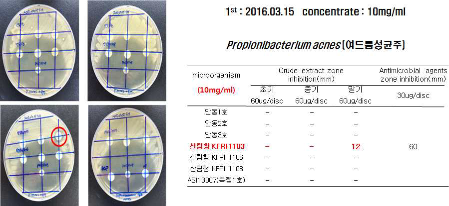 Antibacterial activity against Propionibacterium acnes for potentiate materials for cosmetics. Left pictures show antibacterial activity with 12 mm diameter on the agar