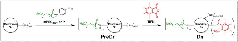 표면작용기로 amine을 가진 방사형 고분자 골격에 반응성이 뛰어난 p-nitrophenylcarbonate 및 anhydride로 된 기능성 단위(생체적합성/수용성 단위 및 고함량 요오드를 함유한 radiopaque unit)를 순차적으로 투여하여 CT 조영제 화합물을 합성하는 scheme.