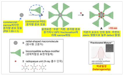 본 연구팀에서 개발한 단일분자성 방사형 고분자 골격에 기반한 기존 CT 조영제(type A)의 합성 방법 개요도(그림 5 참조).