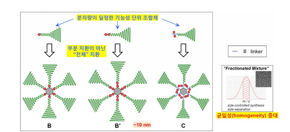 CT 나노조영제의 구조 균일성을 증대하여 제조와 성능의 재현성을 확보하기 위해, 상단의 3가 지 유형의 분자량이 일정한 기능성 단위 조합체를 먼저 합성하고, 이를 방사형 고분자 골격(회색 중심원)표면작용기의 “일부”가 아닌 “전체”에 모두 치환하여, 분자량 distribution이 최대한 narrow한 CT 나노조영제(예, B, B’, C)를 만드는 본 연구의 물질 개발 방안 개요도.