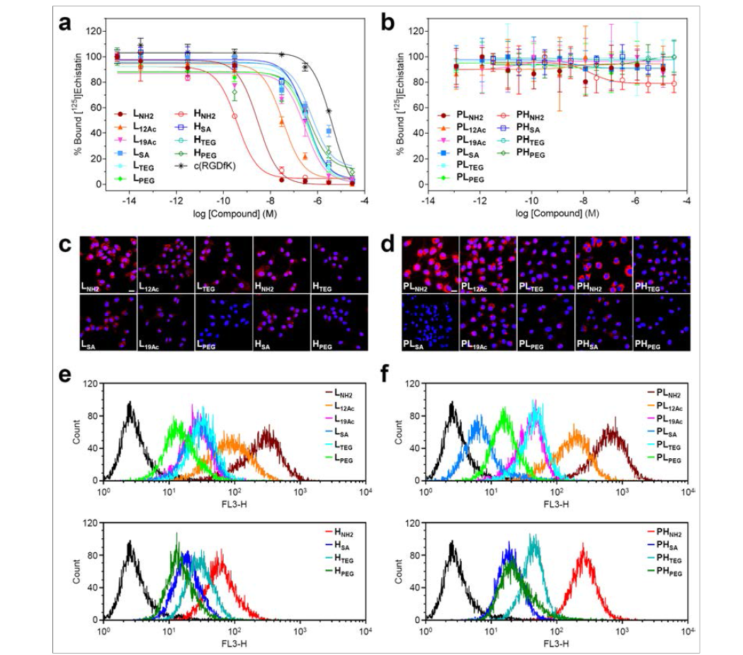 본 연구에서 합성한 암 진단을 위한 (a,c,e) 10종의 active targeting용 multivalent ligand(LX 또는 HX)와 (b,d,f) 이의 합성 전구체로서 ligand가 장착되지 않은 passive targeting용 PEGylated dendrimer conjugate(PLX 또는 PHX) 10종을 사용하여, tumor targeting ligand로 사용한 c(RGDfK)가 specific하게 binding하는 αVβ3 integrin receptor를 과발현하는 U87MG tumor cell에 대한 (a,b) in vitro competition binding assay 결과 ([125I]echistatin(known antagonist of αVβ3 integrin)을 radioligand로 사용); (c,d) 24시 간 동안 incubation한 후 얻은 confocal fluorescence micrograph; (e,f) 동일 조건하에서 얻은 flow cytometry histogram.