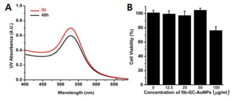 (A) 피브린표적 금나노입자의 UV-vis 스펙트럼, (B) 금나노입자 농도에 따른 세포활성도 그래프