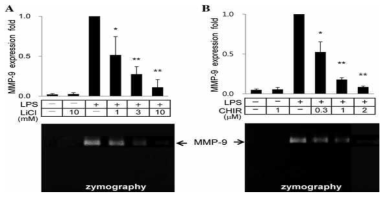 LiCl와 CHIR99021 약물 의존적으로 LPS에 의해 유도된 MMP9의 발현 억제를 보여주는 real-time RT-PCR과 zymography assay 결과