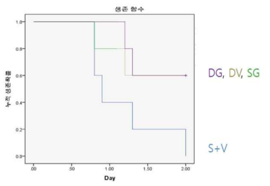 그룹별(그룹 당 n=6) Kaplan-Meier 생존: DG =Dexamethasone + Glibenclamide, DV = Dexamethasone, SG =Glibenclamide, S+V = Saline 그룹