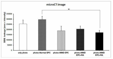 획득한 microCT image에서 BBB leakage의 정도를 정량 분석한 그래프