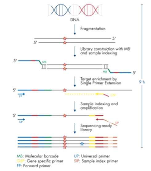 Targeted gene panel