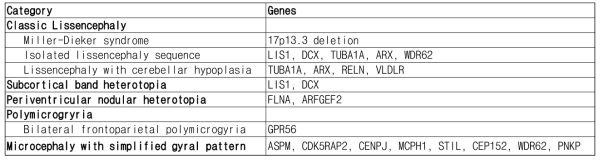 선천성 뇌발달기형의 영상의학적 분류 및 원인 유전자