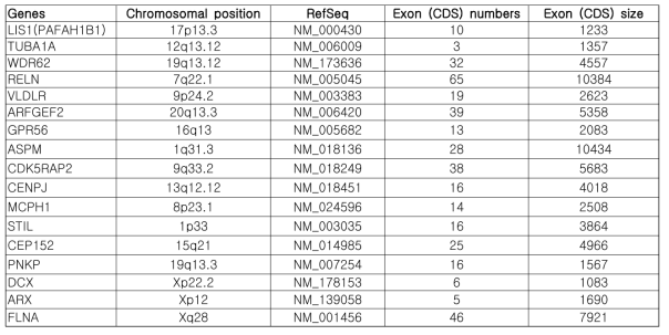 선천성 뇌발달기형의 원인유전자의 염색체상 위치, exon 크기