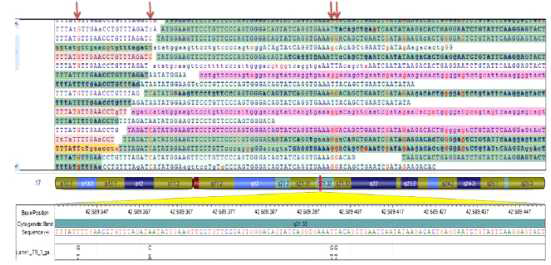 NGS의 기술적 high-throughput robustness