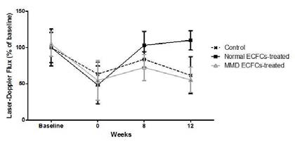 Laser doppler flux를 이용한 혈류량 측정시 normal ECFC 처리 그룹에서 혈류량 증가를 확인