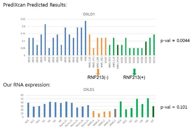 MMD RNF213 (-) 와 RNF213 (+)에서 OXLD1 발현 비교 분석함