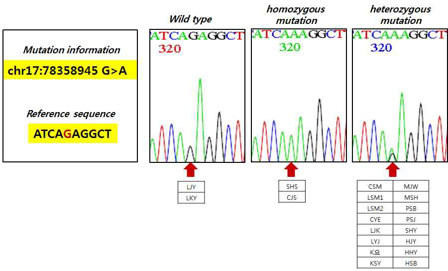 Whole genome sequencing of RNF213