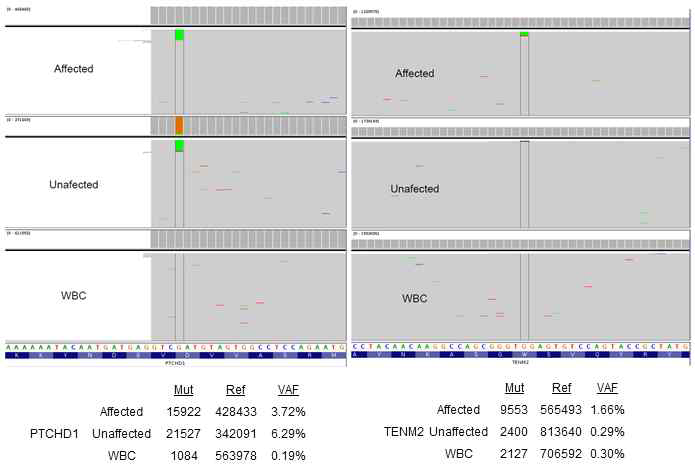 Results of site specific amplicon sequencing