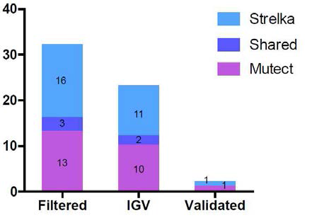 Summary of bioinformatics analysis