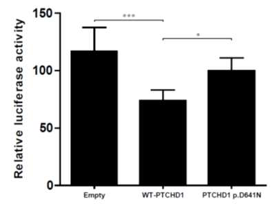 Luciferase assay results