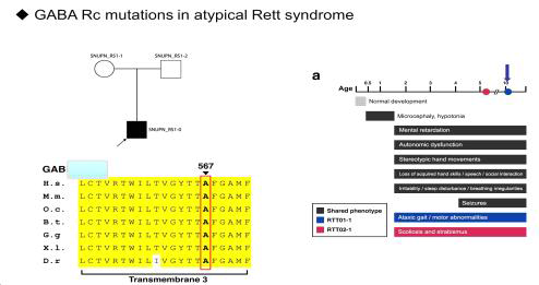 Atypical Rett syndrome에서 GABA Rc mutations