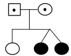 ABCB1의 compound heterozygote 돌연 변이