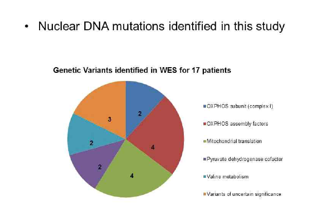 DNA mutations