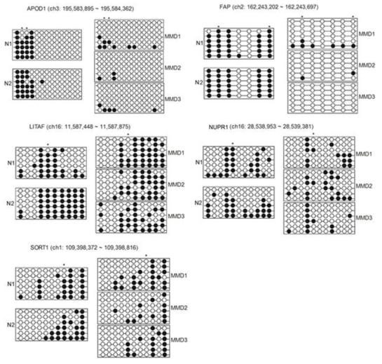 선정된 유전자의 DNA methylation 변화를 Bisulfite sequencing analysis를 이용하여 검증