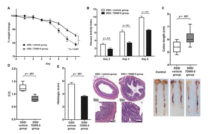 The effect of 7DW8-5 on dextran sodium sulfate-induced acute colitis (A) The changes of body weight. (B) Disease activity index, (C) Colon length, (D) serum C-reactive protein level, and (5) Histological score
