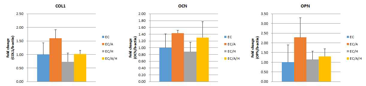 헤파린 혹은 alendronate를 고정한 양이온화 콜라겐 스펀지 상에서 분화 유도된 MG-63 세포의 COLI (type I collagen), OCN (osteocalcin), 및 OPN (osteopontin) 유전자의 발현량 비교