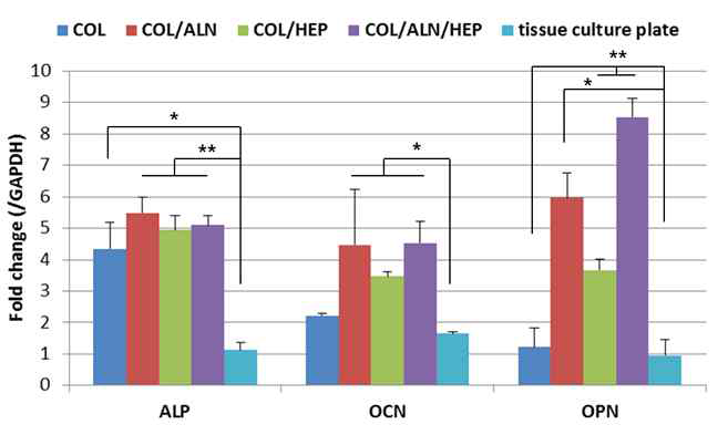 콜라겐 필름 (2차원 배양)상에서의 랫드 B M - M S C 의 mRNA 발현량 ((n=3, * versus tissue culture plate * p<0.05, **p<0.01, &collagen film, &p<0.05, &&p<0.01)