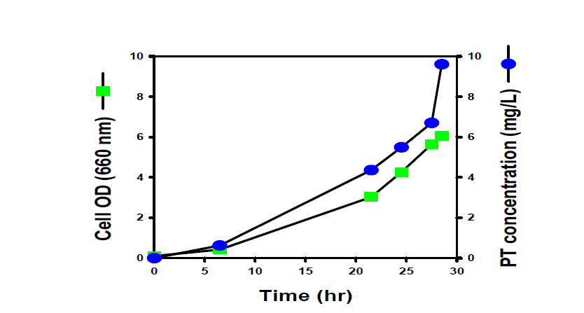 Time course of Cell density in B. pertussis fermentation