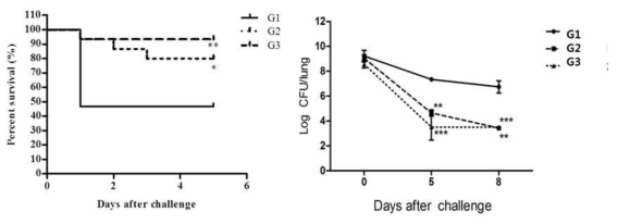 Survival rate and bacteria titre in lung (G1: Alum control, G2: GC3111(Tdap), G3: commercial reference))