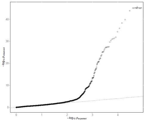 q-q plot