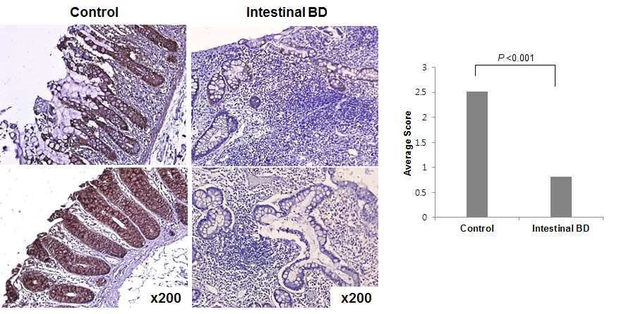 Immunostaining against galectin-3