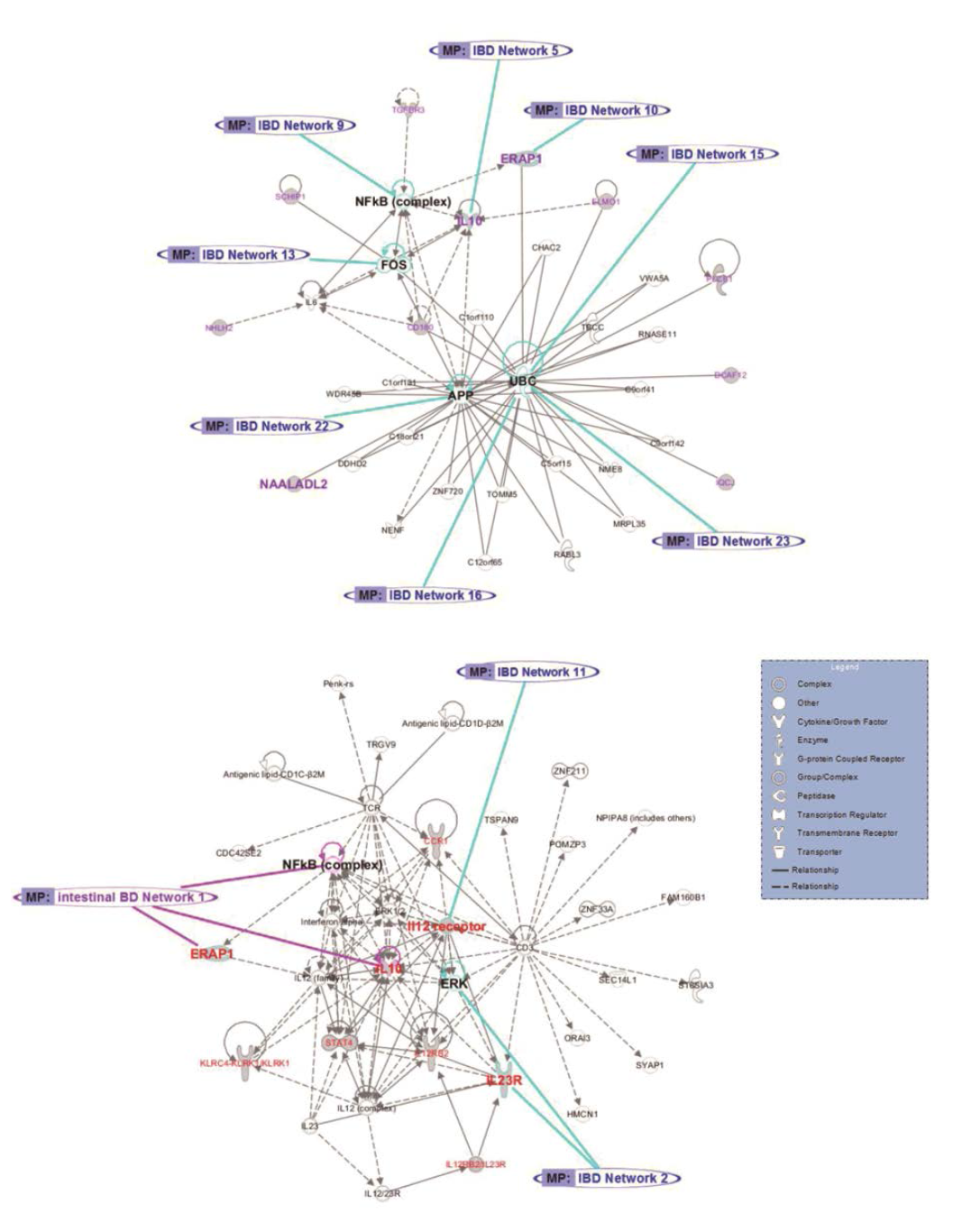 Pathway analyses of genes susceptible to intestinal Behçet’s disease, Behçet’s disease without intestinal involvement, and inflammatory bowel disease (IBD)