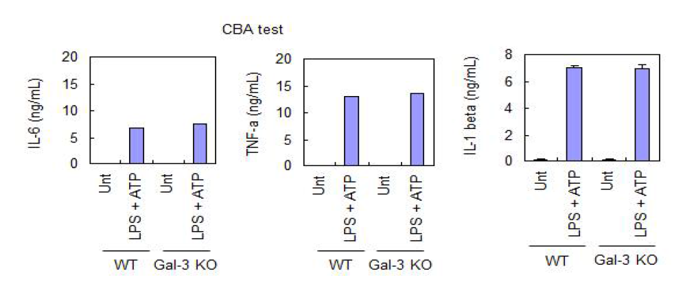 Galectin 3 deficient BMDM에서의 inflammasome 자극(LPS+ATP)에 의한 cytokine 발현의 변화