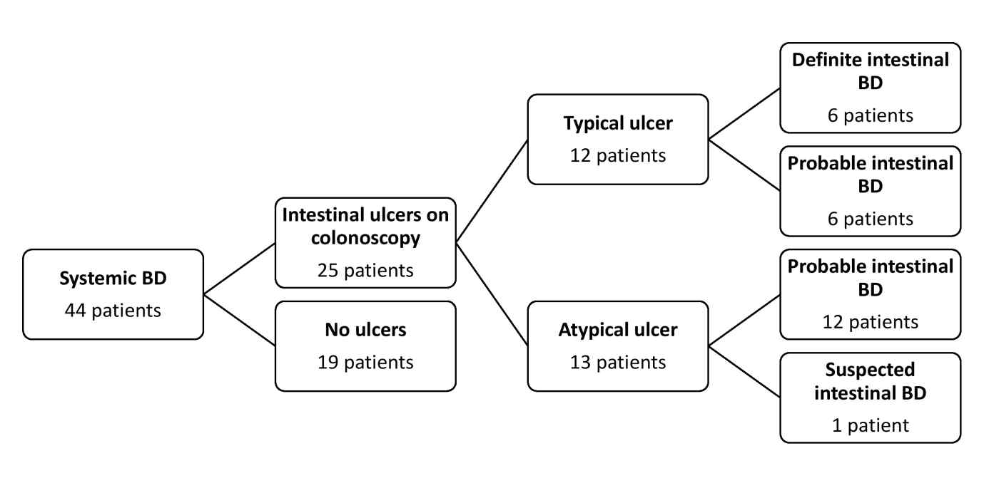 Diagnostic flow of the study population