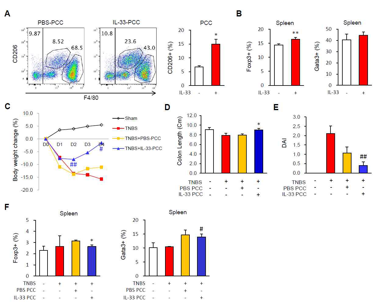 IL-33-treated peritoneal cavity cells ameliorate mouse colitis. Male C57BL/6 mice were inoculated i.p. with IL-33 (mrIL-33, 1 μg/mouse) or PBS for 3 consecutive days. Next, peritoneal cavity cells (PCCs) were extracted from the peritoneum of each mouse by washing the peritoneal cavity with cold PBS (A, B). F4/80 positive cells were sorted from the harvested PCCs and i.p. injected (1×106 cells) into recipient mice. After 2days, 2,4,6-trinitrobenzene sulfonic acid (TNBS) solution (2.2%(w/v)) was injected into the colon of each recipient mouse (C-F). (A, B) Representative flow cytometry plots of PCCs and spleen cells from IL-33-treated naïve mice. (A) Dot plot of the M2 (CD206+) macrophage (F4/80+) populations in the PCCs and percentages of the M2 macrophage populations in the PCCs. (B) Treg (Foxp3+) and Th1 (Gata3+) populations in thespleensofnaïvemice. (C) Body weight changes of PCC-transplanted mice. (D) Colon lengths of PCC-transplanted mice. (E) Disease activity index (DAI) scores of PCC-transplanted mice. (F) Flow cytometry analysis of Treg (Foxp3+) and Th1 (Gata3+) populations isolated from the spleen of PCC-transplanted mice. Values are expressed as means (n = 5); error bars represent ±SD. #P < 0.05 vs. TNBS, ##P < 0.01 vs. TNBS, *P < 0.05 vs. Veh or PBS PCC, **P < 0.01 vs. Veh or PBS PCC as assessed by ANOVA. Veh, injected with vehicle; IL-33, injected with mrIL-33; PCC, injected with F4/80+PCCs;TNBS, injected with TNBS