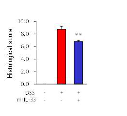 Histological score of dextran sodium sulfate (DSS)-induced colitis in mice (n = 5). **P < 0.01 vs. DSS. IL-33, 5 daily injections of IL-33 (mrIL-33, 0.2 μg/mouse); DSS, treated with 3% (w/v) DSS