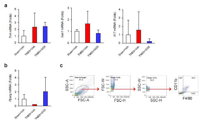 Guggulsterone modulates mRNA expression of macrophage M1 and M2 markers in inflamed colon tissues. Mouse colons were homogenized, total RNA was isolated, and quantitative real-time PCR was performed using (a) Tlr4, Irak1, and Il17 as M1 markers and (b) Pparg as a M2 marker. (c) Flow cytometric analysis of laminar propria macrophages in the colon. Arrows indicate single cell and F4/80+CD11b+cell gating flow. Veh, administered with vehicle; GGS, administered with guggulsterone; TNBS, injected with TNBS. Data are expressed as the mean ± S.D. (n = 4)