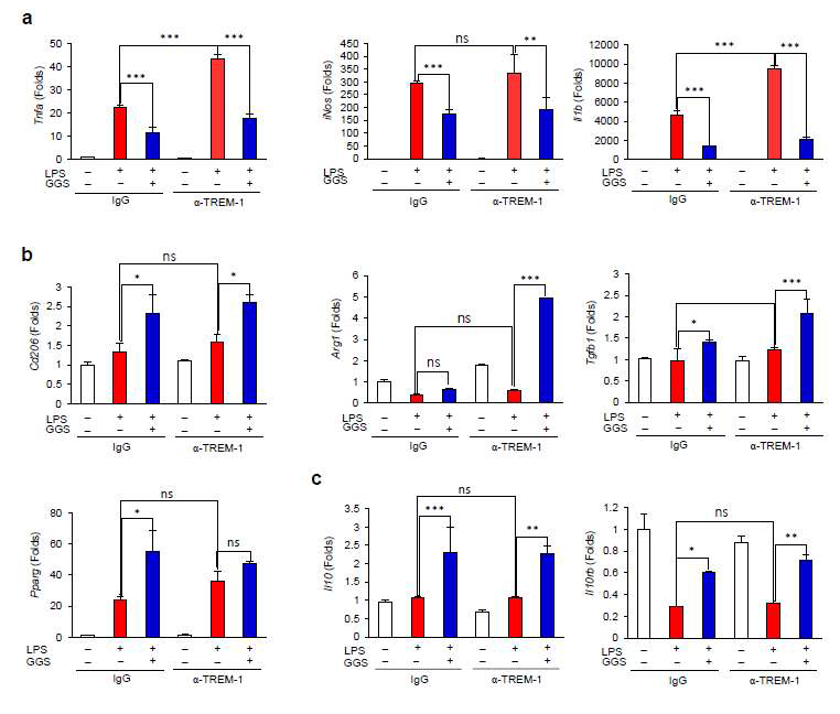 Guggulsterone suppresses M1 markers but induces M2 markers in RAW264.7 cells. RAW264.7 cells were pre-treated with GGS and treated with LPS in the presence or absence of anti-TREM-1 antibody. Total RNA was isolated, and quantitative real-time PCR was performed using M1 markers (a: Tnfa, iNos, Il1b) and M2 markers (b: Cd206, Arg1, Tgfb1, Pparg; c: Il10, and Il10rb). GGS, treated with guggulsterone (20μM); LPS, treated with lipopolysaccharide (10 μg/mL); α-TREM-1, treated with TREM-1 agonist antibody (0.4 μg/mL); IgG, immunoglobulin G isotype control (0.4 μg/mL); ns, not significant. Data represent the means ± S.D. (n = 3–4). *p < 0.05 vs. LPS, **p < 0.01 vs. LPS, ***p < 0.005 vs. LPS