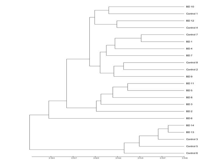 UPGMA Dendrogram of IBD. BD: Behçet disease. UPGMA: Unweighted Pair Group Method with Arithmetic